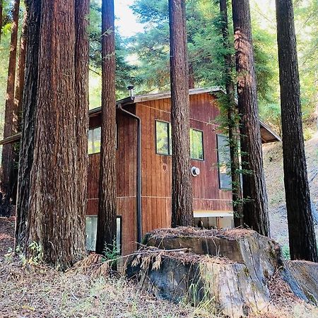 Little House In The Redwoods With A Hot Tub! Διαμέρισμα Garberville Εξωτερικό φωτογραφία