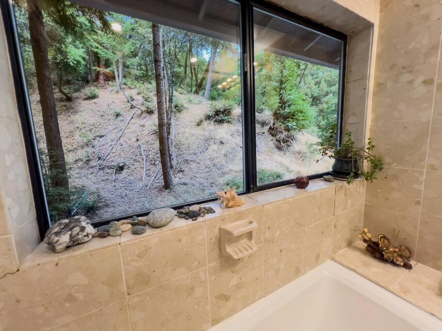 Little House In The Redwoods With A Hot Tub! Διαμέρισμα Garberville Εξωτερικό φωτογραφία