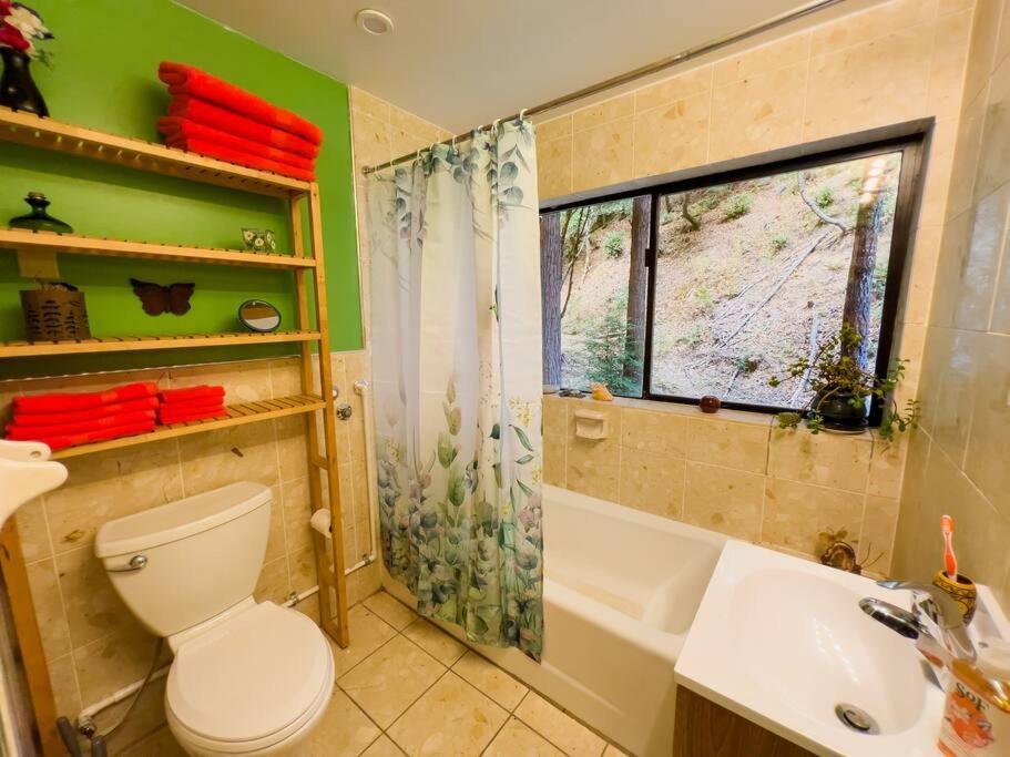 Little House In The Redwoods With A Hot Tub! Διαμέρισμα Garberville Εξωτερικό φωτογραφία