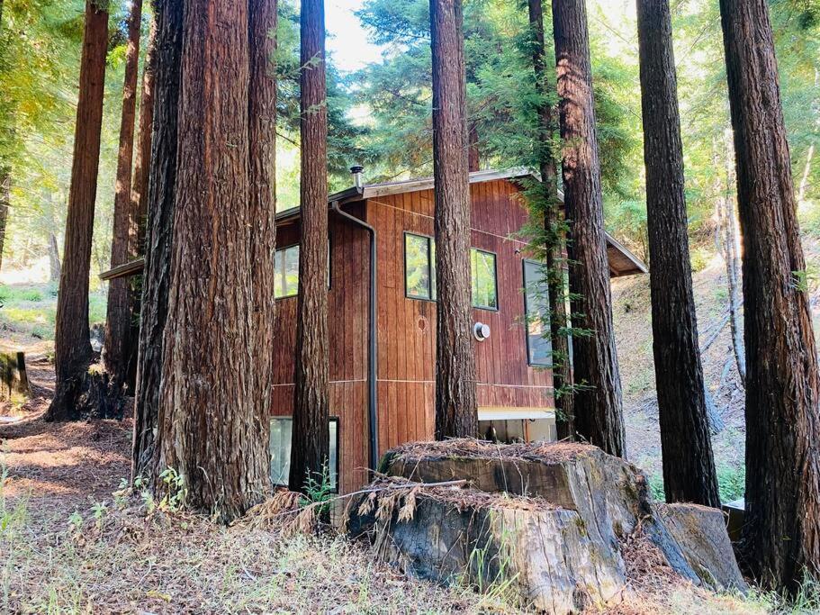 Little House In The Redwoods With A Hot Tub! Διαμέρισμα Garberville Εξωτερικό φωτογραφία